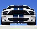 2007 Ford Shelby GT500 